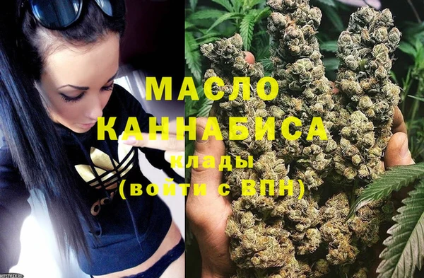 сатива Михайлов