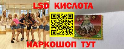 дмт Гусев