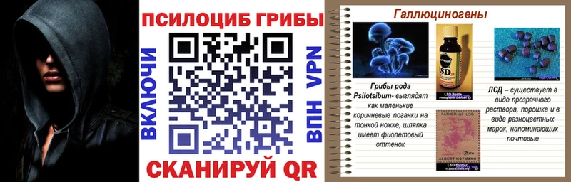 Галлюциногенные грибы Psilocybine cubensis  Новоуральск 