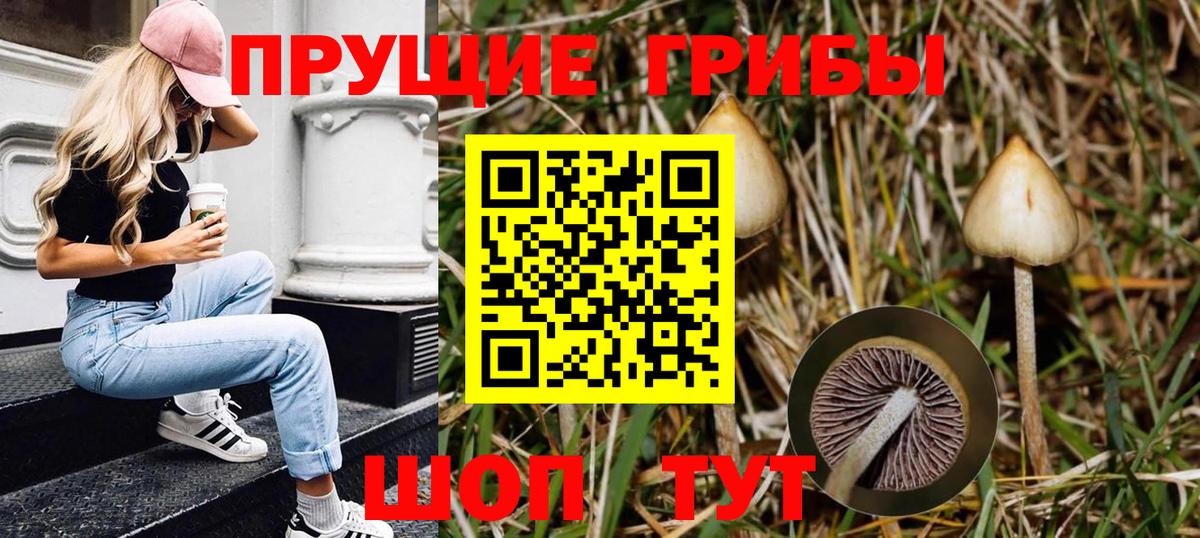 Новоуральск  Галлюциногенные грибы Psilocybine cubensis  Псилоцибиновые грибы GOLDEN TEACHER  закладка  Вход с VPN 