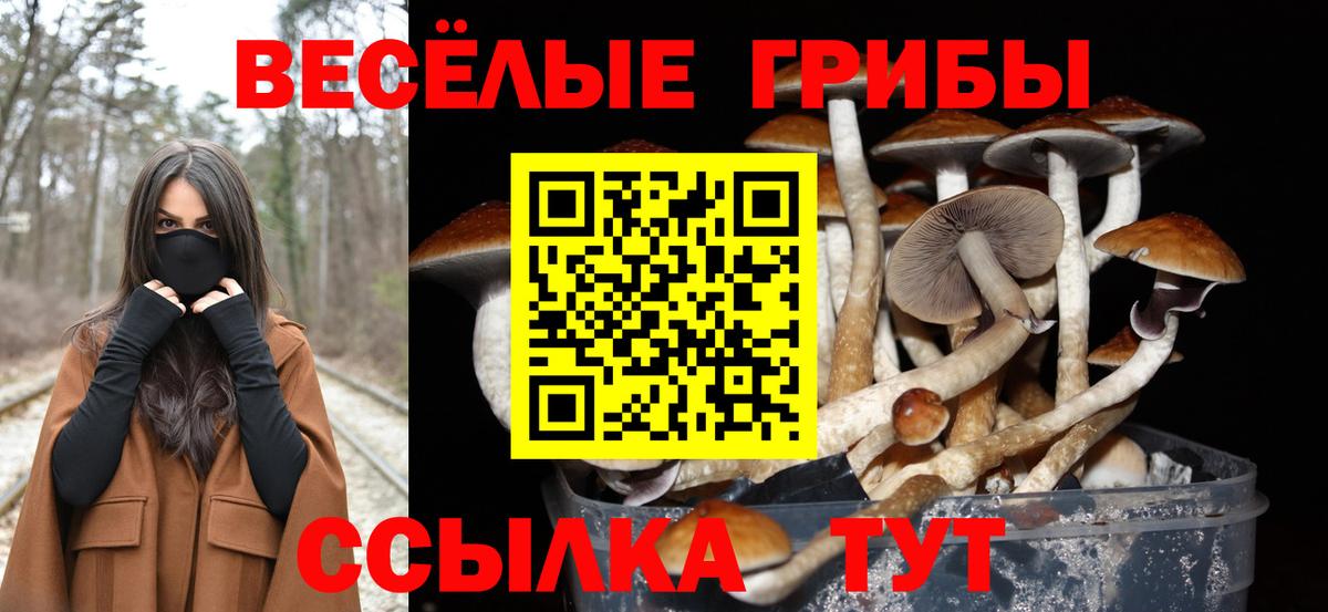 Галлюциногенные грибы GOLDEN TEACHER  Новоуральск 